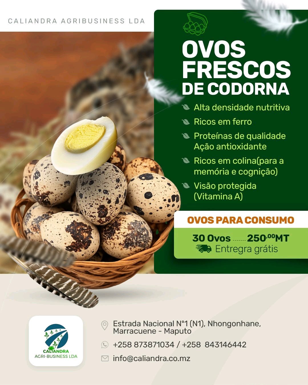 Ovos de codorna