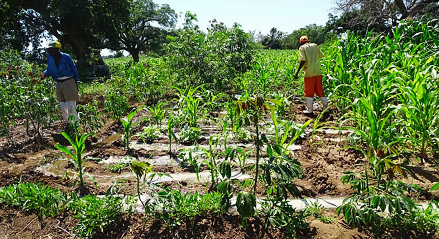 O Papel Central e a Vulnerabilidade da Mulher Rural