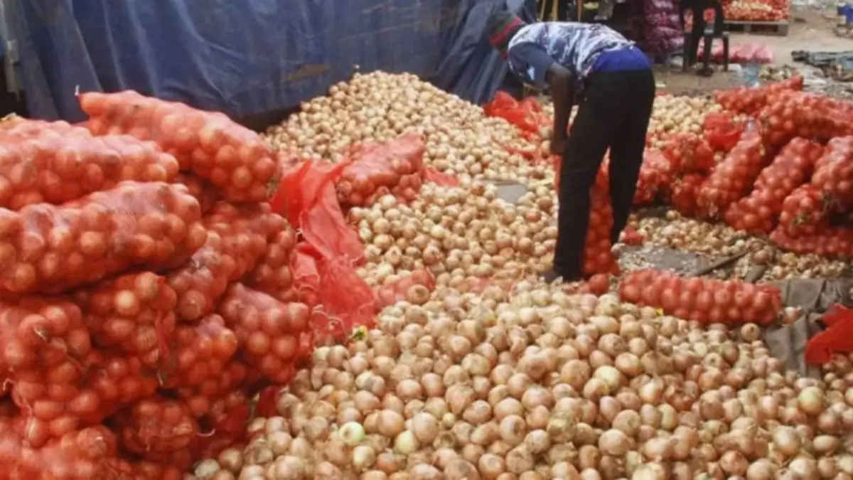 Por que o preço da cebola muda tanto em Moçambique?
