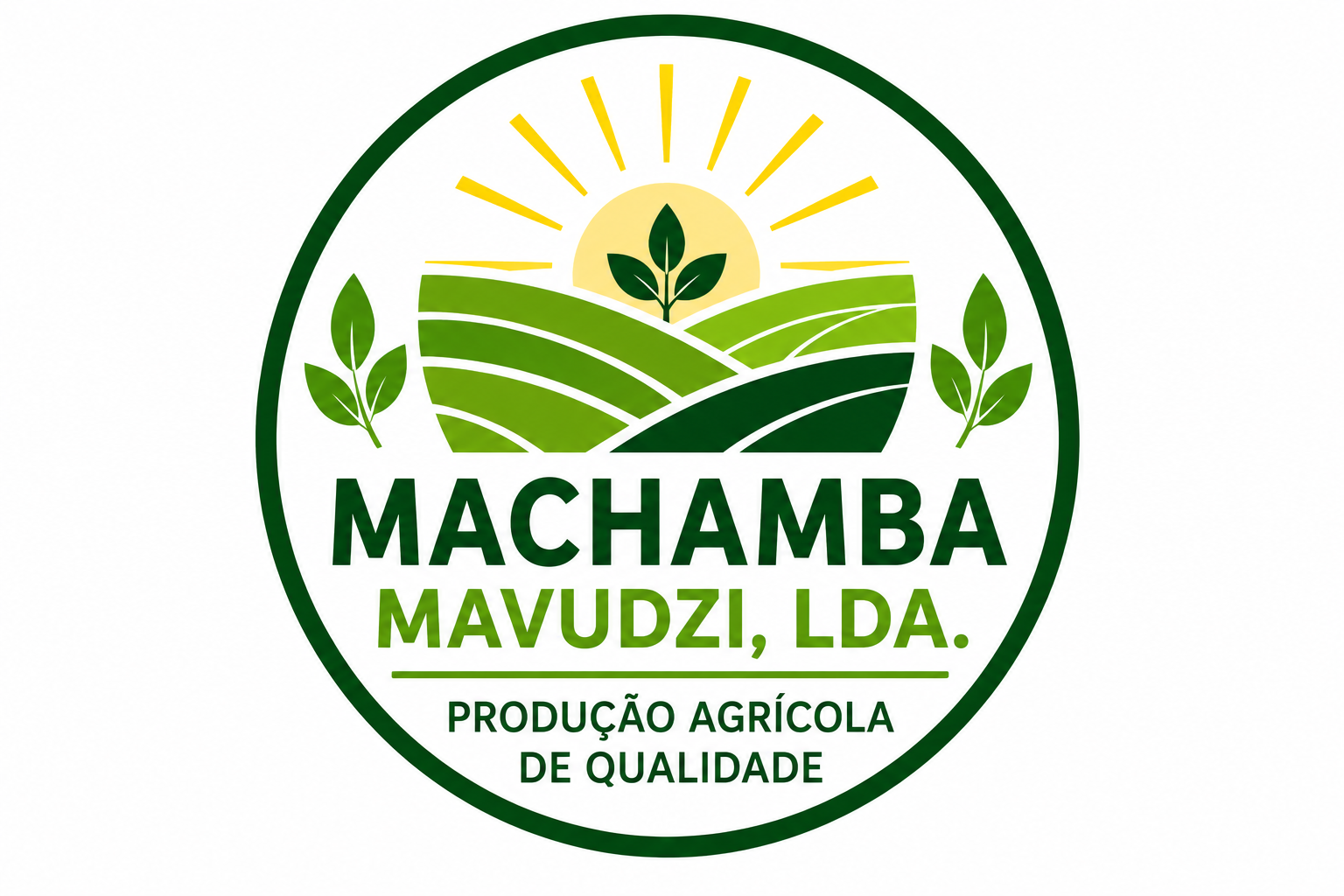 Machamba Mavudzi, Lda